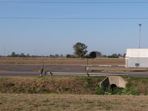 Imagen 4 de 9 de Campo - Alvear
