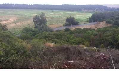 Terreno en venta