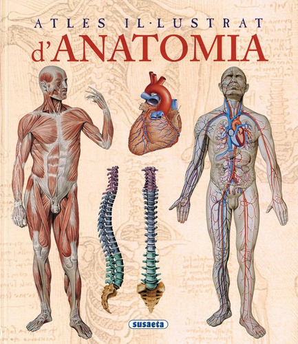 Atles Il-lustrat D'anatomia (libro Original)