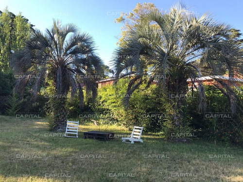 Casa En Alquiler - San Rafael-ref:27409