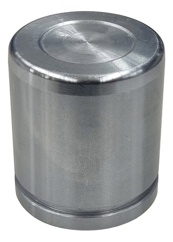 Piston Pinza Freno Del. Master