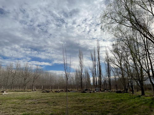 Lote En Venta Barrio Las Patricias, General Roca, Río Negro