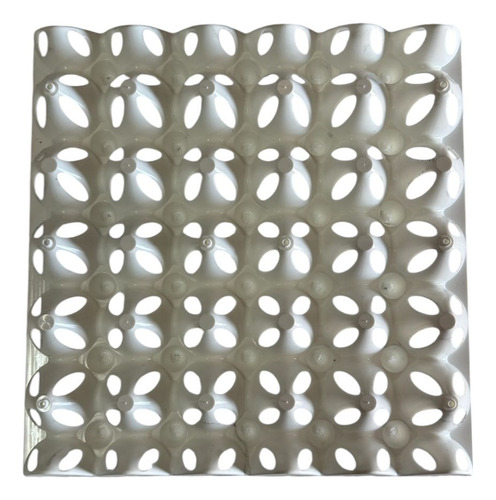 Porta Huevos Rovi Maple Plástico - 6 Unidades 30h Blanco