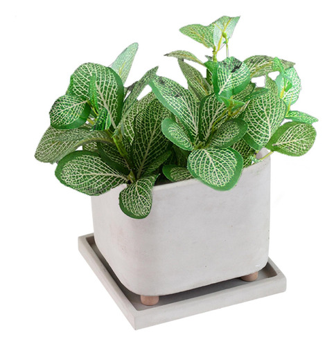 Maceta Con Patas Macetas Con Patas Para Plantas Macetero De