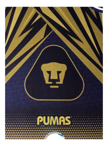 Cobertor Excel Queen America Pumaschivas Cruzazu Providencia