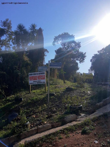 Imagem 8 de 15 de Terreno Para Venda Em Mairiporã, Jardim Sabambaia - 8063yg_1-1599393
