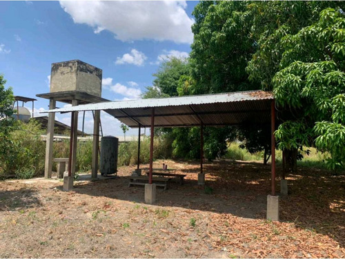 Terreno Agroindustrial 20.000m2 Tinaquillo, A Metros Del Peaje Taguane