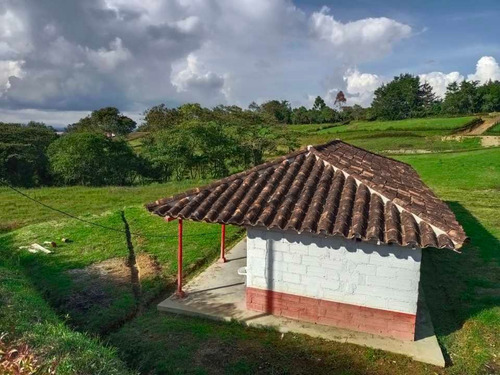 Imagen 24 de 30 de Hermosa Finca Campesina En Venta En Parcelación Excelente Vecindario.
