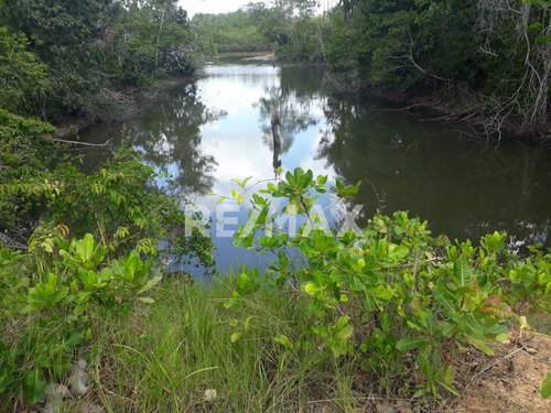 Imagen 13 de 16 de Se Vende Finca En Tropical, Municipio Punceres, Maturín, Edo. Monagas