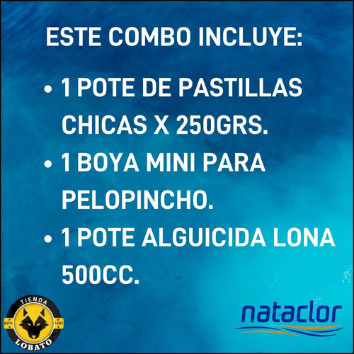 Combo Pastillas Boya + Alguicida Piletas Lona Nataclor Cloro