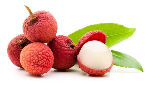 Litchi Enano Organico Leer Descripcion Antes