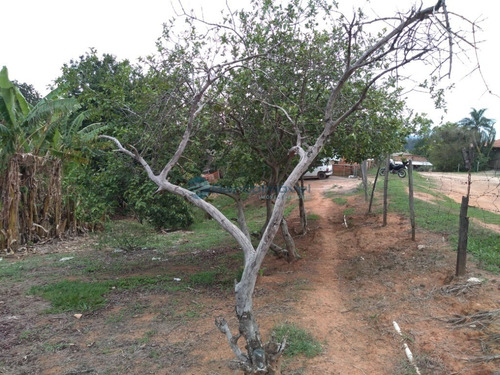 Imagem 6 de 20 de Chacara - Ch00131 - 69207544
