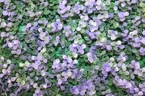 Follaje Artificial Muro Verde 3m2 Arrayan Morado Panel 25x25