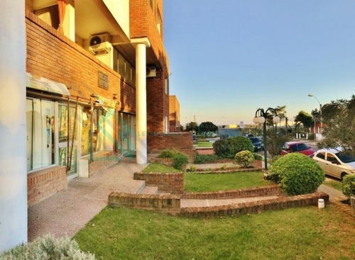 Imagen 2 de 9 de Colonia - Local Comercial En Punto Estratégico