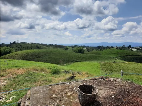 Venta Finca Ganadera Filandia Via Quimbaya - 41 Cuadras