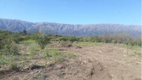 Lote De 2000m2 En Cerro De Oro, Villa De Merlo Acceso Por Granadilla