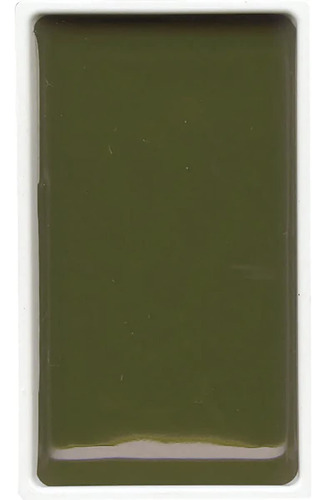 Acuarela Kuretake Gansai Tambi Pastilla X Unidad Color 504 Green Gray