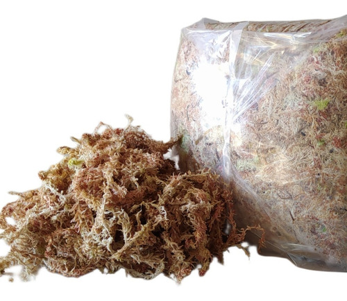 Musgo Sphagnum 5kg (prod. Deshidratado, 5 Star, Exportación)