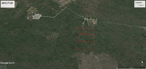Imagen 8 de 13 de Terreno De 7.98 Has En Tixpéhual Yuc. A Espaldas De Casco De Hacienda.