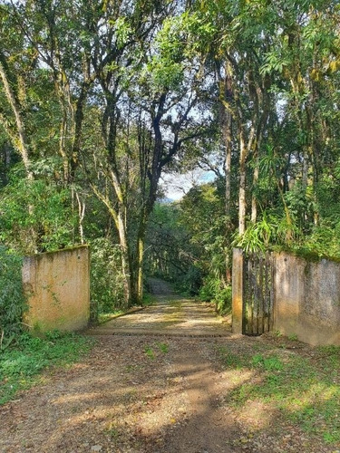 Chácara Com 5 Dormitórios À Venda, 46000 M² Por R$ 1.250.000,00 - Campo Magro - Campo Magro/pr - Ch0009