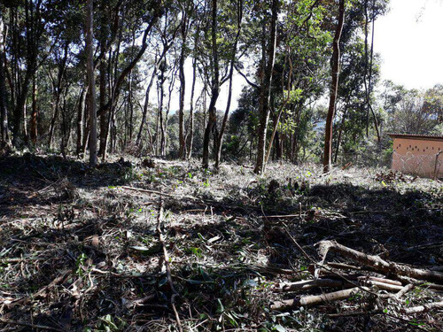 Imagem 23 de 28 de Terreno, Chácara Das Palmeiras, Itapecerica Da Serra - R$ 150 Mil, Cod: 1188 - V1188