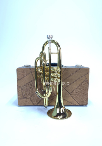 Cornet Weril 1072 Sib Semi-novo 