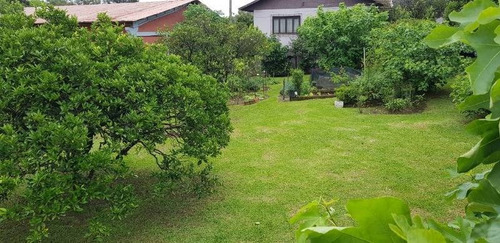 Imagem 6 de 9 de Terreno - Sao Ciro - Ref: 7847 - V-7847