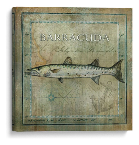 Canvas Lab Cuadro Pez Oceánico I 25x25, Beth Anne Creative