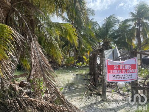 Venta Terreno 0 Ambiente Isla De Holbox
