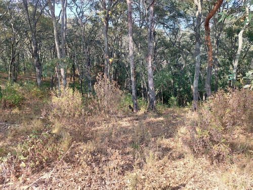 Terreno En Jilotzingo