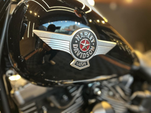 Harley-davidson Flstfb 2012