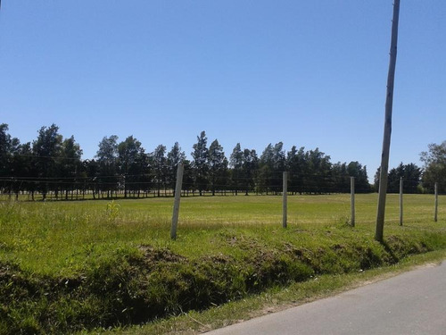 Terreno En Venta En 138/475 Y 477 City Bell - Alberto Dacal Propiedades