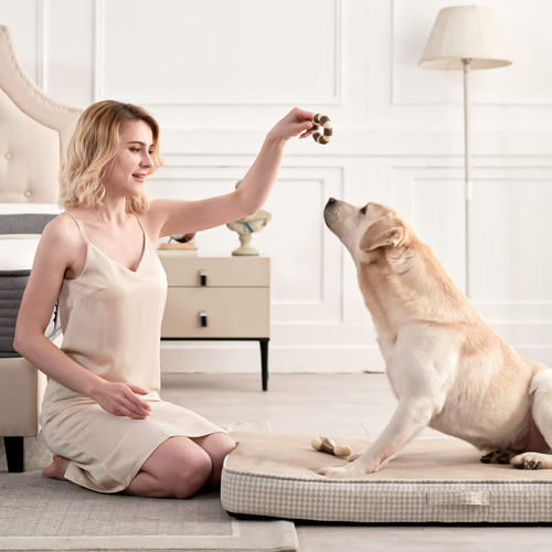 Cama Para Perros Wevego De Espuma Viscoelástica En Gel Con F