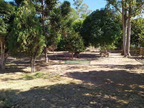 Imagem 8 de 18 de Chácara Com 3 Dormitórios À Venda, 5000 M² Por R$ 380.000,00 - Borda Do Campo - Cunha/sp - Ch0587