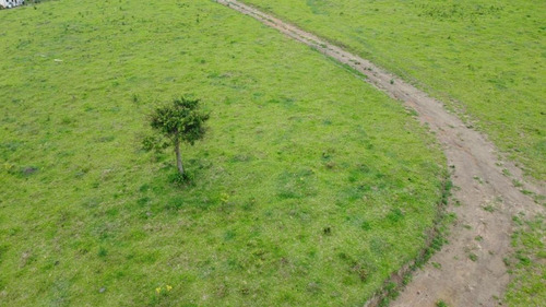 Imagem 2 de 14 de Terrenos De 1000m² A 3000m² A Partir De R$ 49.999 À Vista
