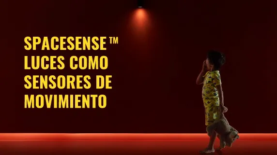 Nuestra trayectoria