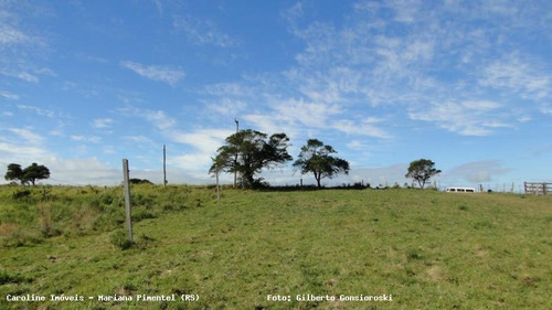 Área Rural Para Venda Em Mariana Pimentel, Boqueirão - 1153_1-779115