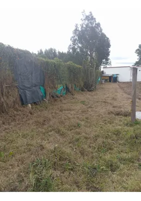Lote y casalote en venta