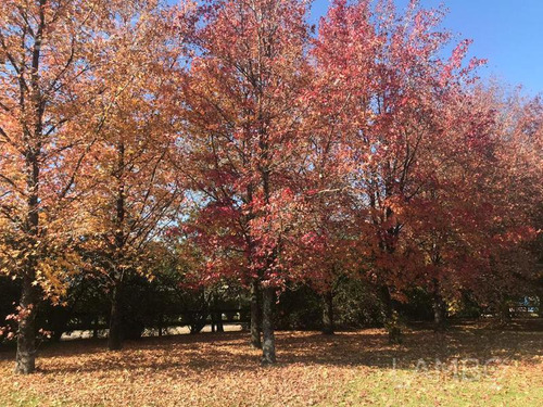 Venta Lote Pilar La Esperanza
