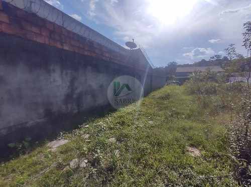 Imagem 13 de 15 de Terreno A Venda No Bairro Ponta Negra, Manaus Am - Te00061 - 69918347