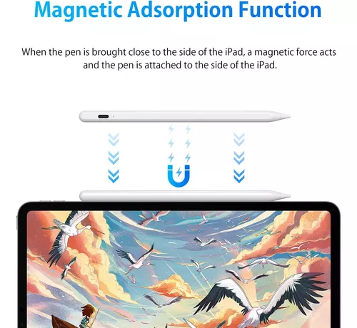 Lápiz óptico para iPad de 9ª y 10ª generación, 2X carga rápida, lápiz  activo compatible con Apple Pro11 y 12.9 pulgadas 2018-2023, Air 3/4/5,  iPad