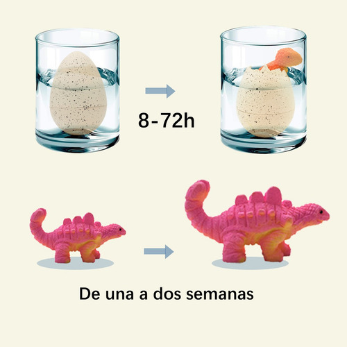 Remojar En Agua Para Expandir Los Juguetes De Huevos De Dino