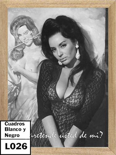 Isabel Sarli  Cuadros B/n , Poster , Cine ,  Pelicula   L026