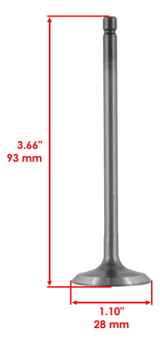 Caltric 0809-229 0809-040 0809-231 0809-233 Exhaust Valv Cch