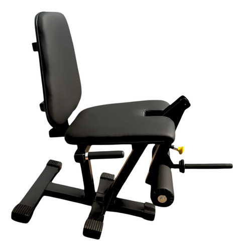 Kit Cadeira Extensora Anilhada Academia + 4 Anilhas De 10kg