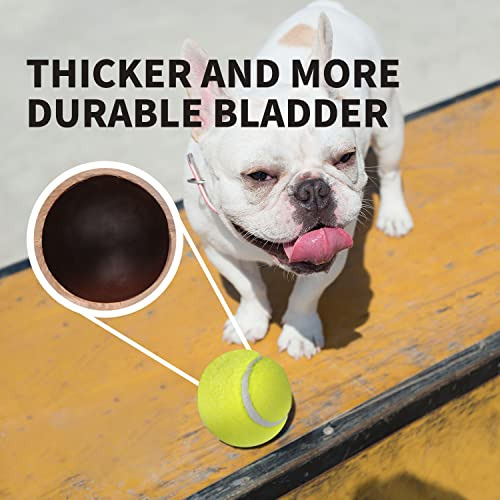 Lanzador Automático De Pelotas Para Perros