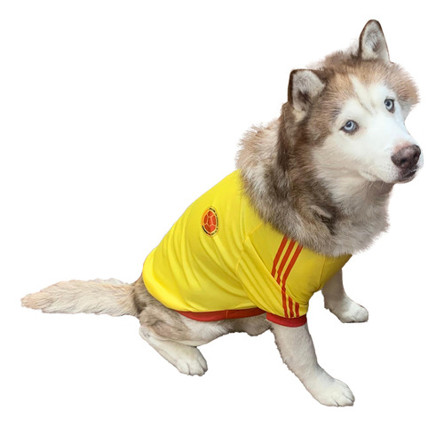 Camisa Para Perro Grande 6 Xl Colombia Copa America
