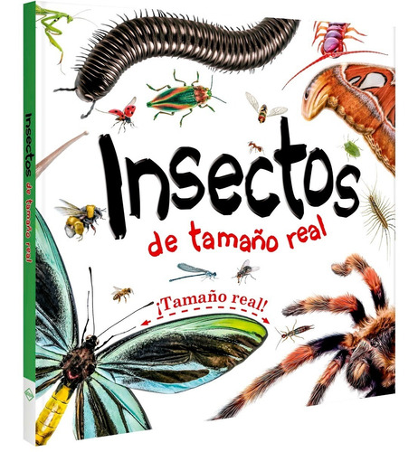 Libro Insectos De Tamaño Real Desplegable Animales