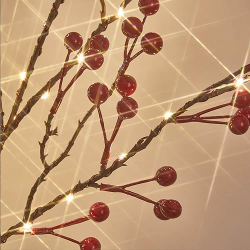 Ramas Iluminadas De Bayas Rojas Litbloom Con 80 Luces Led De