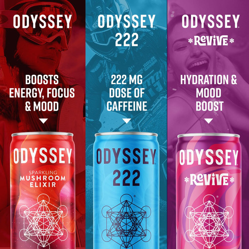 Beba Odyssey Elixir Con Hongos Espumosos, Naranja Y Jengibre
